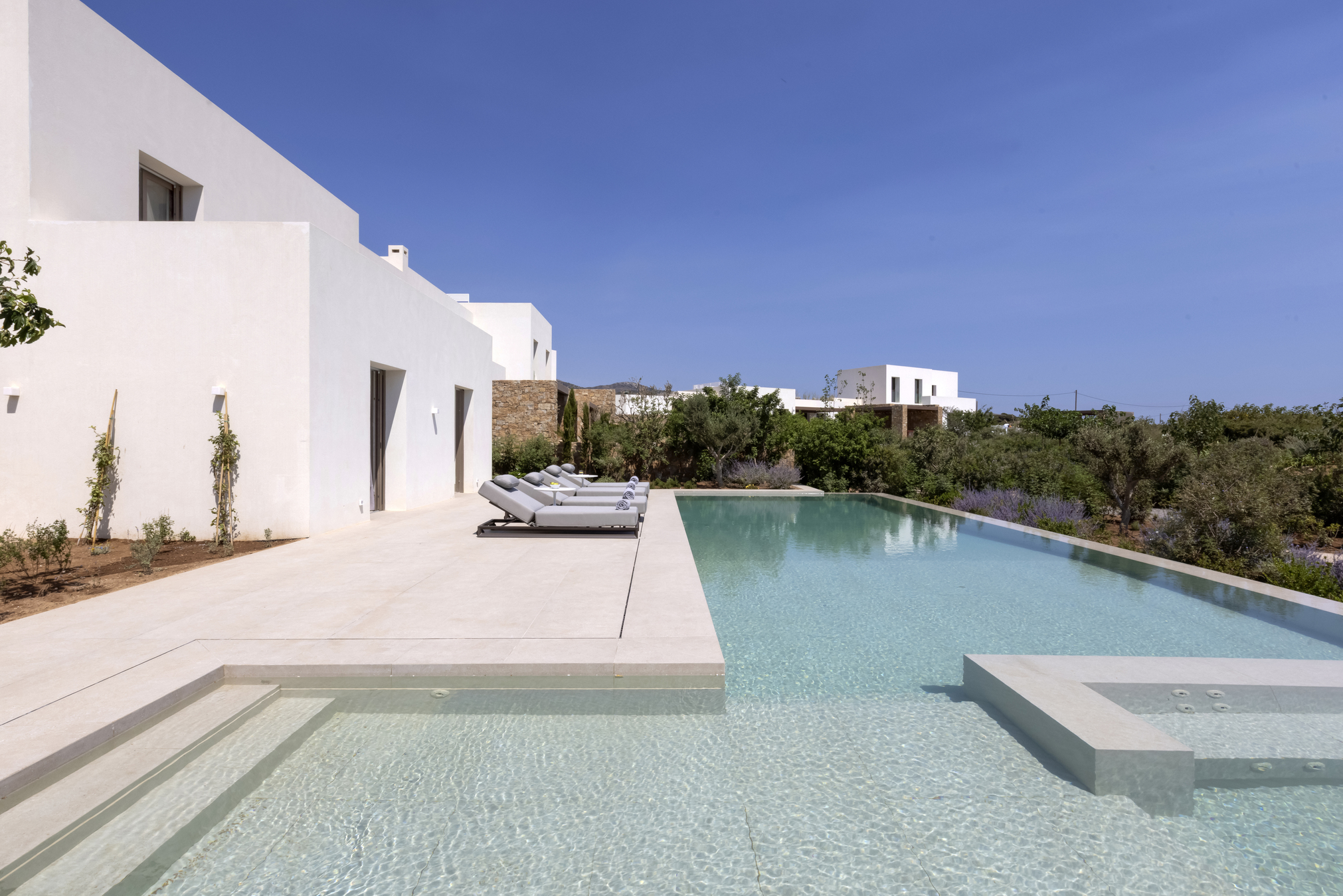 Lavender_03_011_1Z4A5091